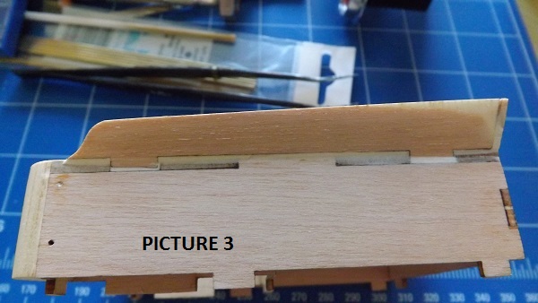 Picture 3.JPG