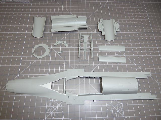 P1030095.JPG
