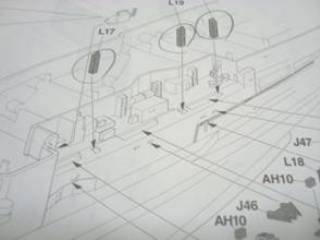 pic4.jpg