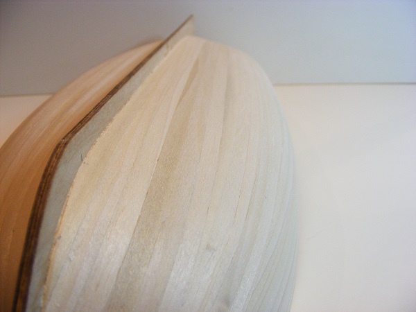 DSCF3806.JPG