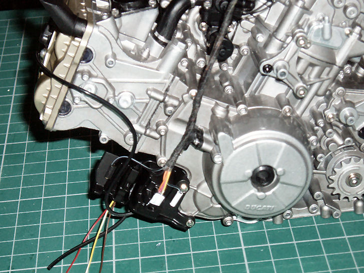 P1013503.JPG