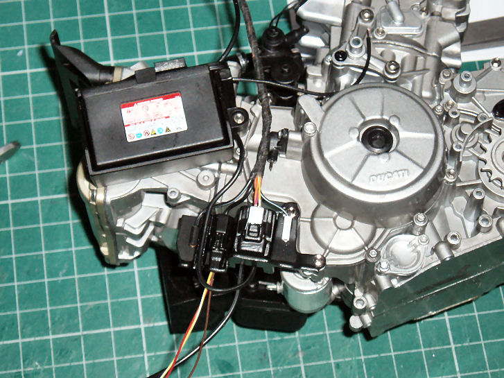 P1013506.JPG