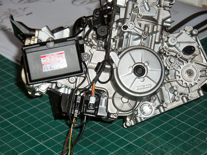 P1013509.JPG