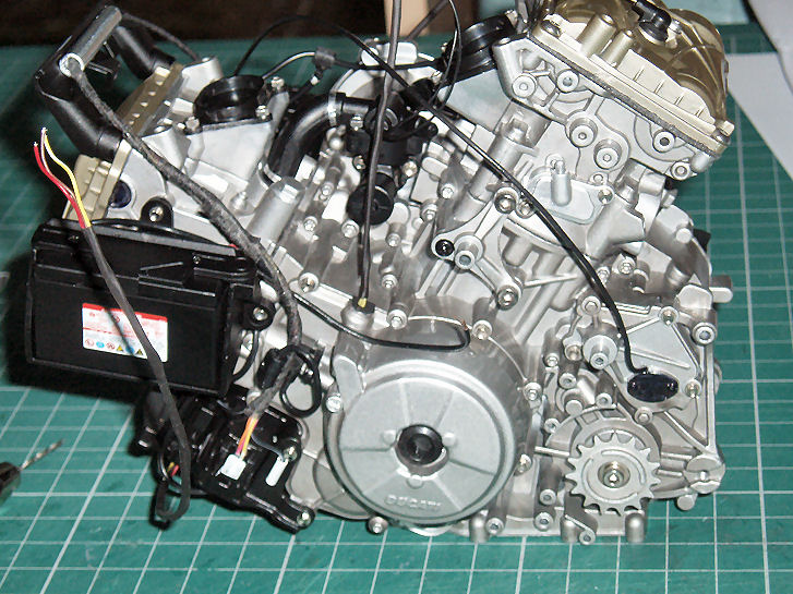 P1013520.JPG
