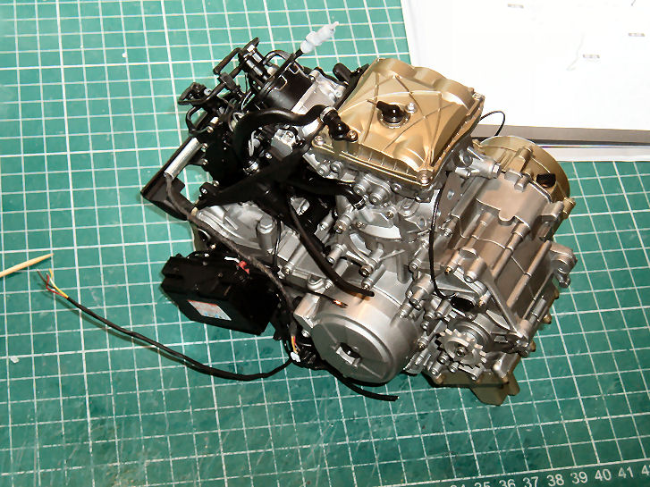 P1013550.JPG