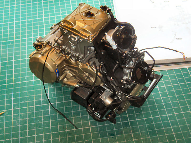 P1013551.JPG
