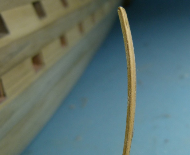bottom wale 3.jpg