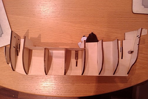 IMAG0122.jpg