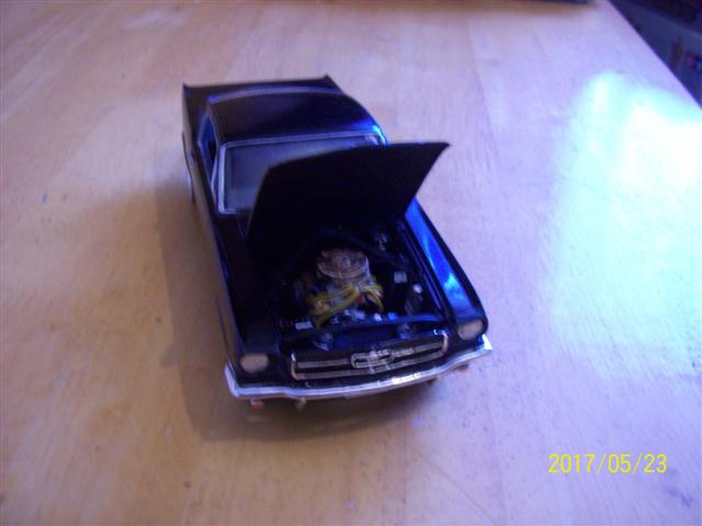 000_0009 (Small).jpg