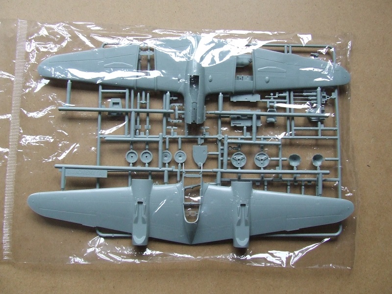 DSCF9730.jpg